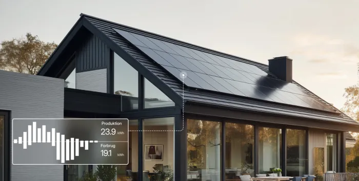 Illustreret EcoRay energianalyse af hus med solceller